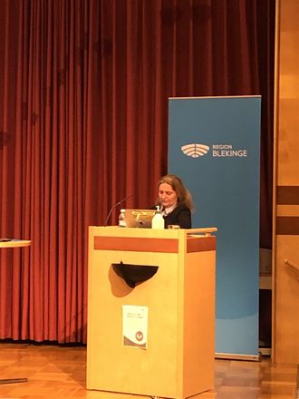 Anna Baran föreläser om Ellips-projektets första år och vad vi gjort så här långt!