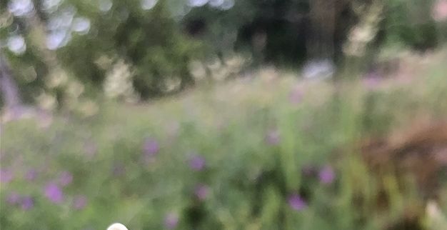 Det finns mycket hjälp att få för dig som befinner sig i en livskris. Också här på sidan!